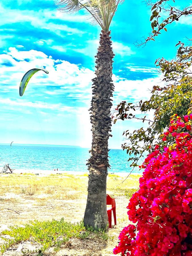 Windsurf Beach Front Торе Гранде Екстериор снимка
