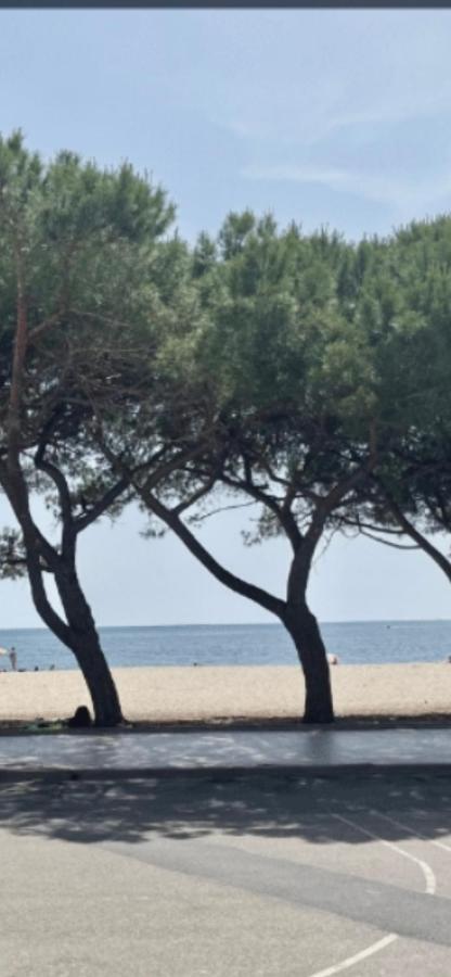 Windsurf Beach Front Торе Гранде Екстериор снимка