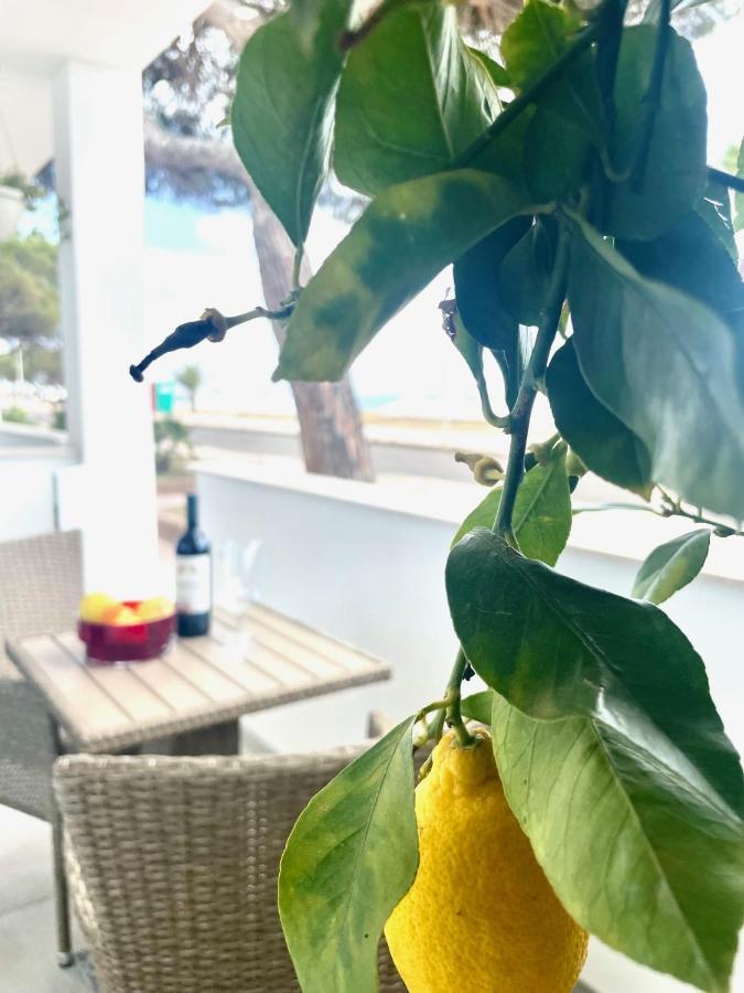 Windsurf Beach Front Торе Гранде Екстериор снимка