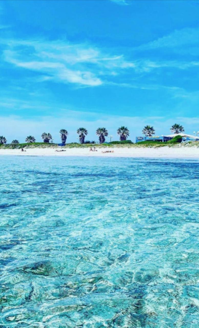 Windsurf Beach Front Торе Гранде Екстериор снимка